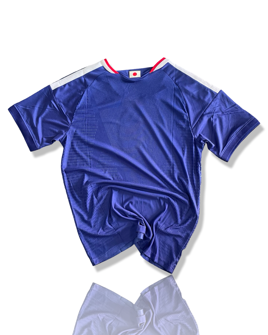 Japan Home WC 26