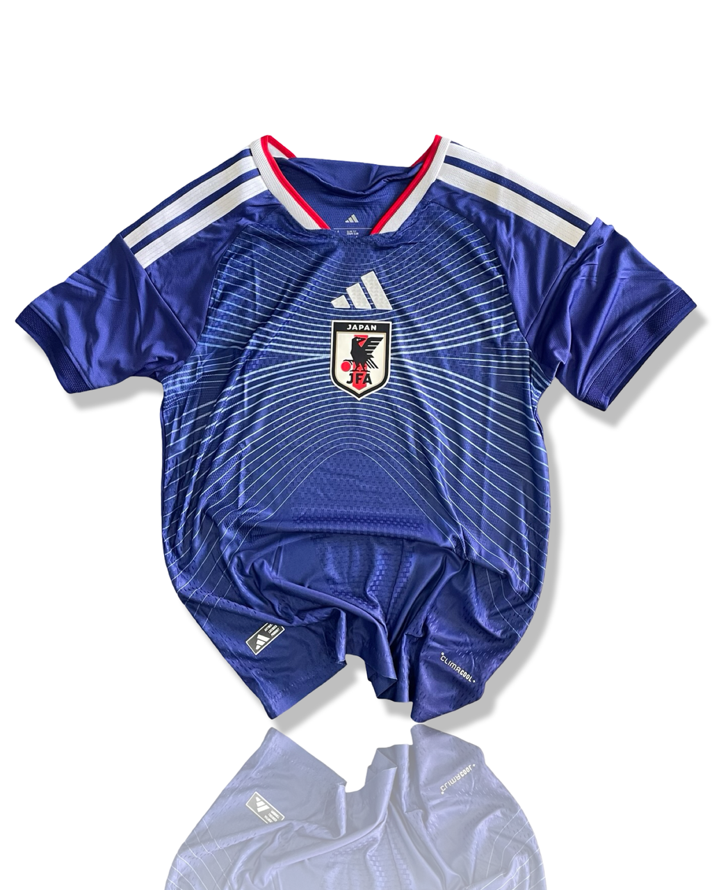 Japan Home WC 26